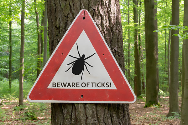 a red and white triangle-shaped sign in the woods with a silhouette of a tick that reads Beware of Ticks!