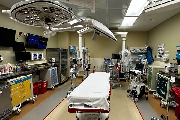 baystate health adult trauma bay