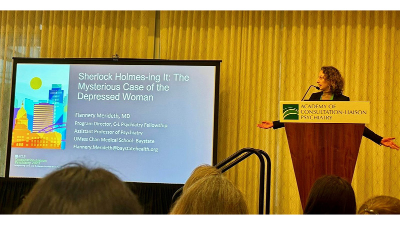 program director flannery merideth guides an audience through her presetation