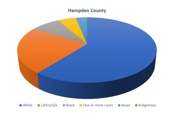 a pie chart of hampden counties population