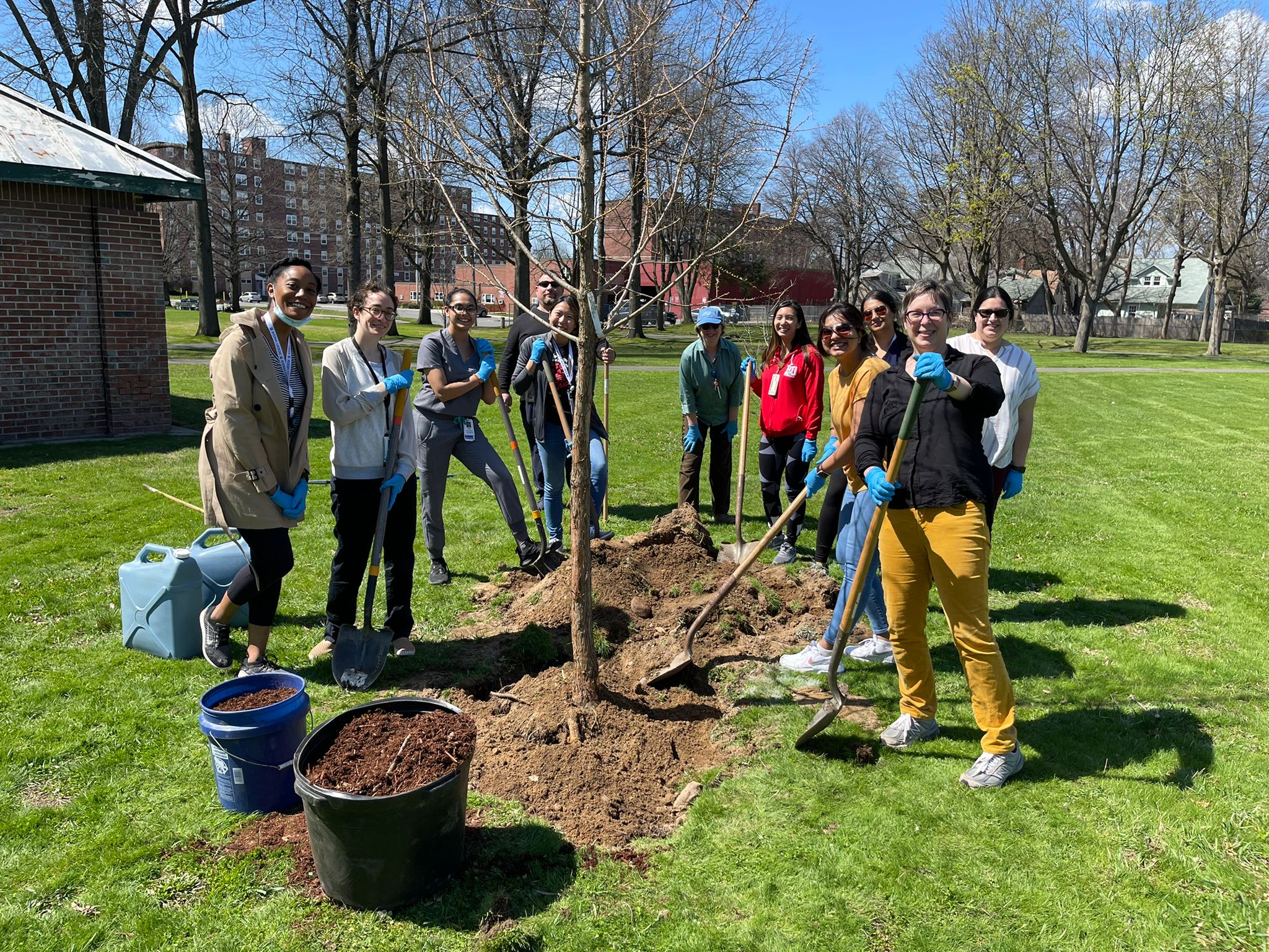 Group photo of Internal Medicine Residents grouped around a just-planted tree