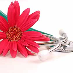 Flower and stethescope