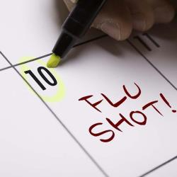 flu calendar 250