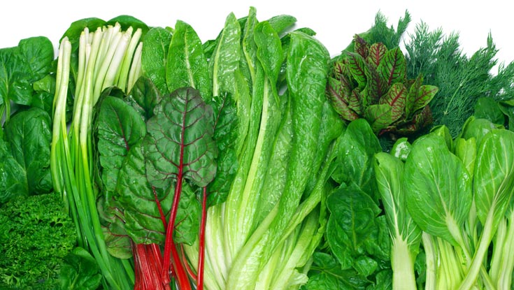 A variety of green, leafy vegetables