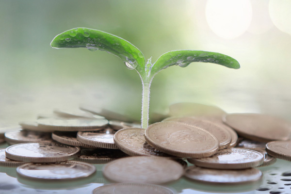 Green plant growing through a pile of coins