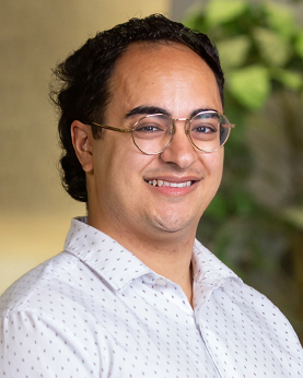 portrait of david rofaiel