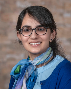 portrait of dr. riffat sabir