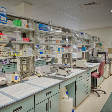 bench space at the baystate research facility