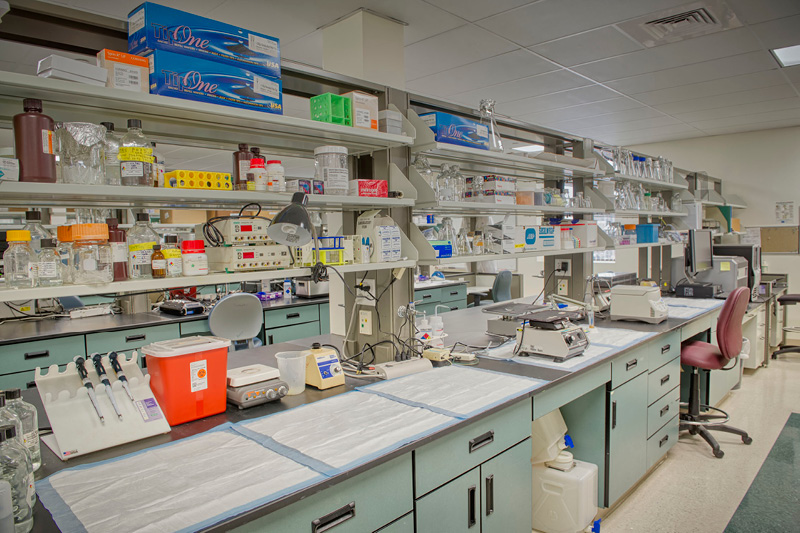 bench space at the baystate research facility