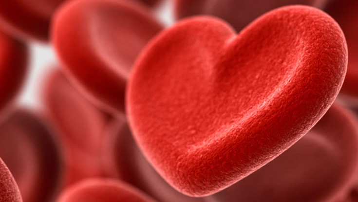 Heart_Shaped_Blood_Cell_Image735