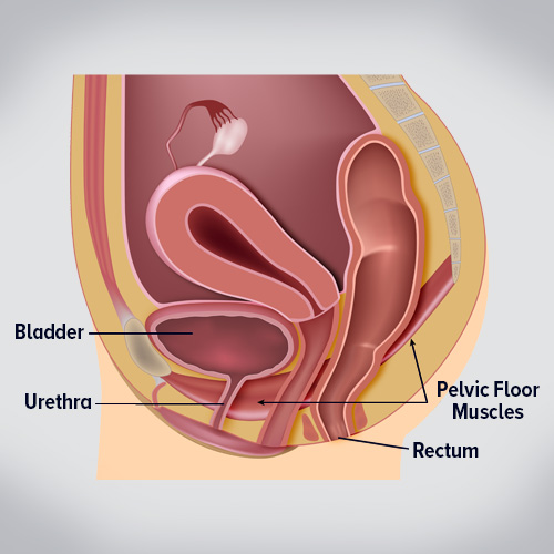 urinary incontinence kegel exercise
