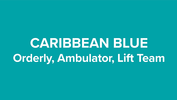 caribbean blue uniforms representing orderly, ambulator, and lift team